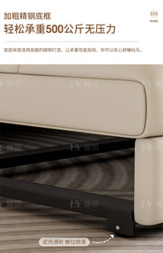 Regale Soft Fancy Sofas Living Room Modern Designer Luxury